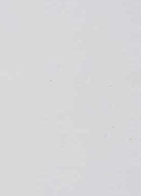 109 Designer White AFP Anti-Fingerprint Matt Finish 8x4 ft 1 mm Decorative Laminates