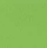 287 Hawaiian Green SU Suede Finish 8x4 ft 1 mm Decorative Laminates