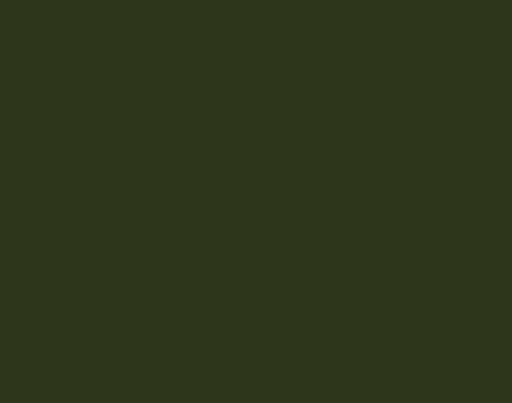 3271 Olive Green SI Fabric Finish 8x4 ft 1 mm Decorative Laminates