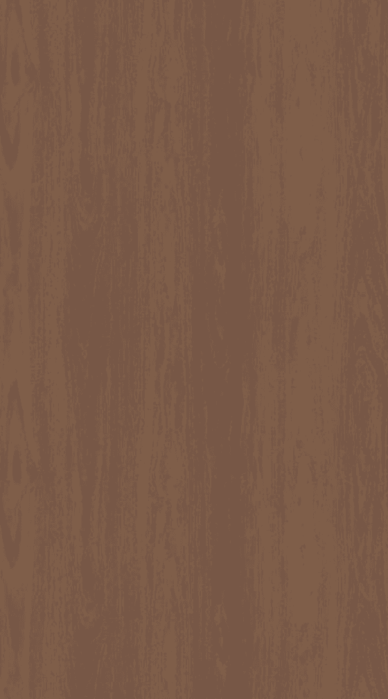 CNH-107 Wood Look Texture Finish 8x4 ft 1 mm Decorative Laminates