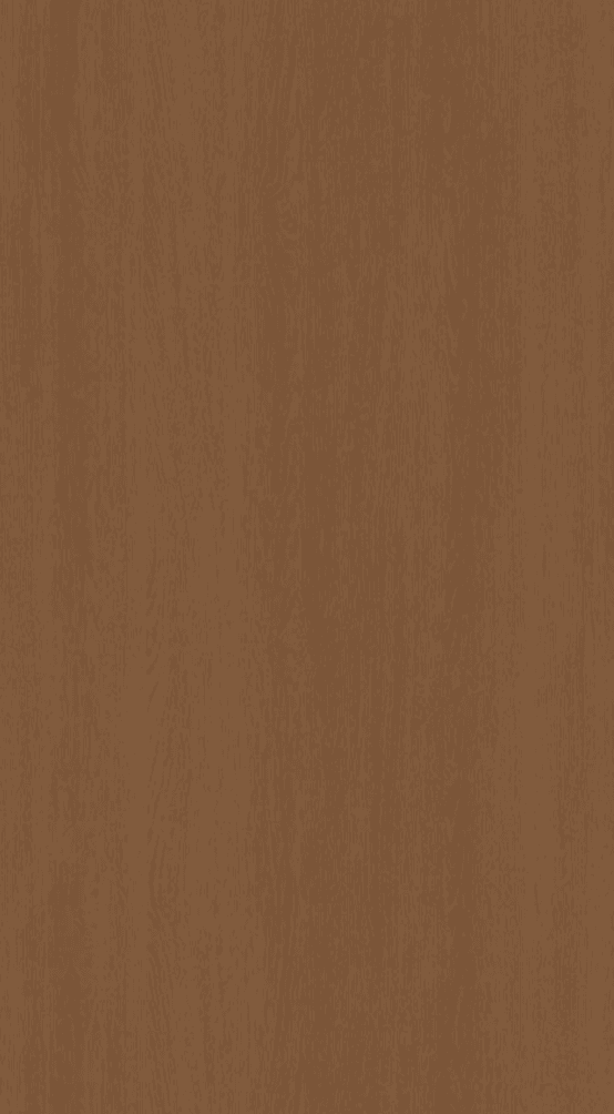 CNH-123 Wood Look Texture Finish 8x4 ft 1 mm Decorative Laminates