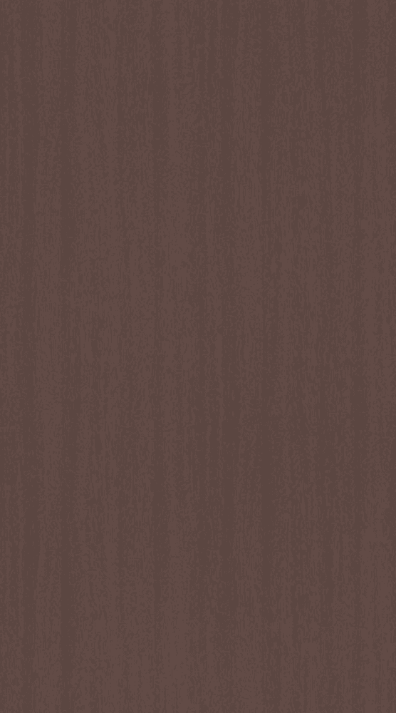 CNH-144 Wood Look Texture Finish 8x4 ft 1 mm Decorative Laminates