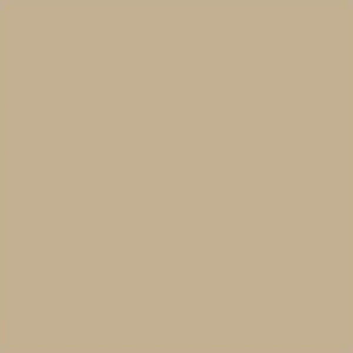 EL-6016 Edge Corner - EL-6016 8x4 ft High Gloss Acrylic Laminates - 1.5 mm