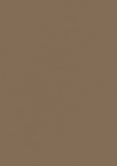 HGL 145 Light Brown High Gloss 8ft x 4ft 1mm Decorative Laminate
