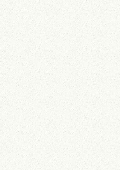 TW 103 Frosty White Texture 8ft x 4ft 1mm Decorative Laminate