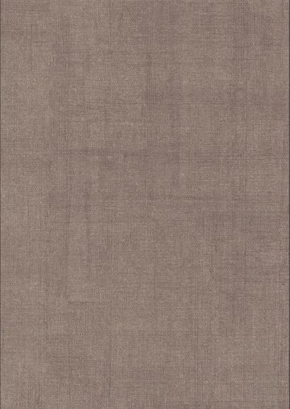 TW 350 Enlighten Texture 8ft x 4ft 1mm Decorative Laminate