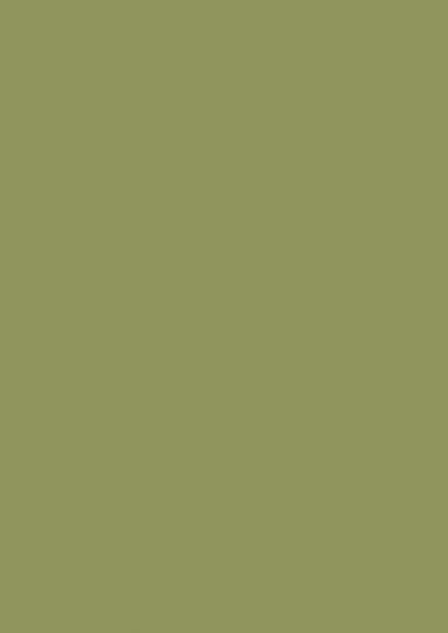 ZM 153 Lime Matt 8ft x 4ft 1mm Decorative Laminate