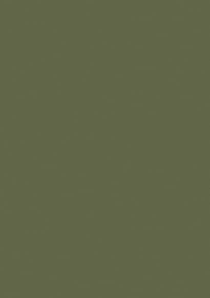 ZM 154 Mehendi Matt 8ft x 4ft 1mm Decorative Laminate