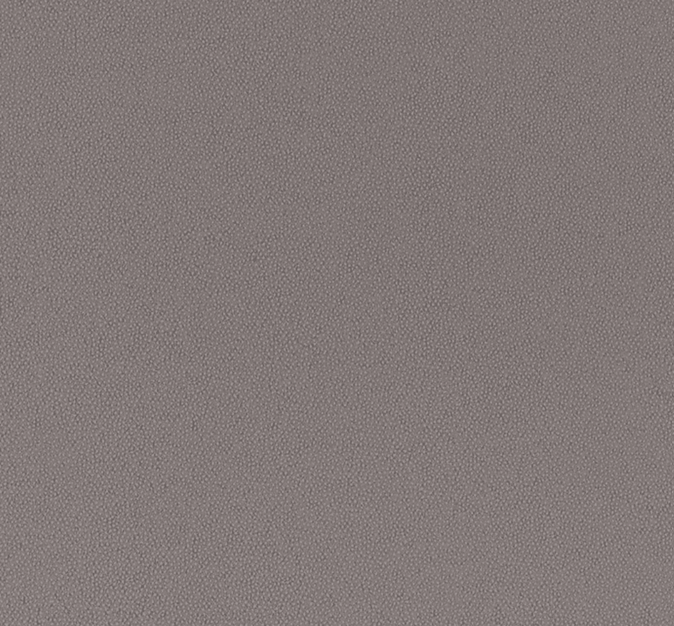 5645 - Akita Taupe 5645-Akita Taupe SUD 8ftx4ft 1mm Decorative Laminate