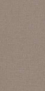 5569 - Earthen Mesh 5569-Earthen Mesh SUD 8ftx4ft 1mm Decorative Laminate