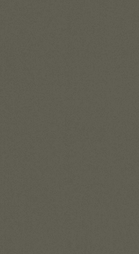 NVH-111 Green Texture Finish 8x4 ft 1 mm Decorative Laminates