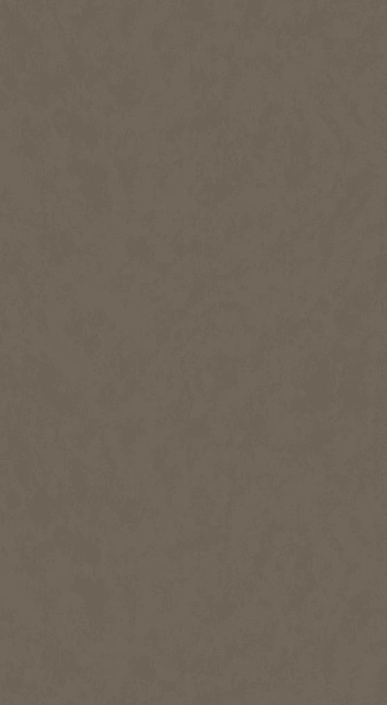 NVH-160 Brown Texture Finish 8x4 ft 1 mm Decorative Laminates