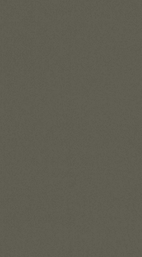 NVH-176 Green Texture Finish 8x4 ft 1 mm Decorative Laminates