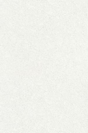 GS 6005 Abstract Texture Finish 8ftx4ft 1 mm Decorative Laminate