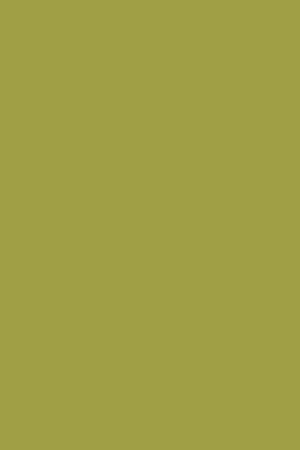 SF 1021 Olive Green Suede Finish 8ftx4ft 1 mm Decorative Laminate
