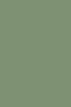 SF 1022 Sage Green Suede Finish 8ftx4ft 1 mm Decorative Laminate