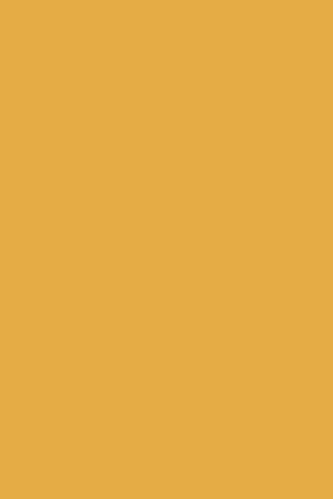 SF 1026 Warm Mustard  Suede Finish 8ftx4ft 1 mm Decorative Laminate