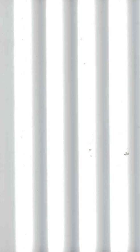 SRN 119 PVC Louvers Solid Color Panels 9.5 Ft x 5 Inch