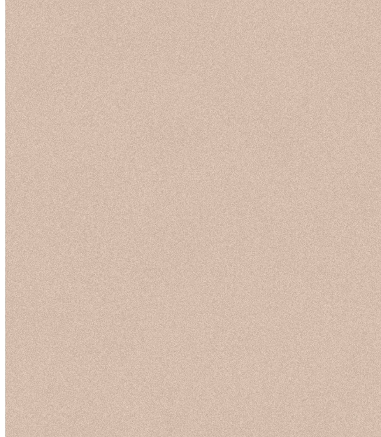 LM-1235 Warm Beige 01 8 ft x 4 ft Texture Finish Solid 1 mm Decorative Laminate