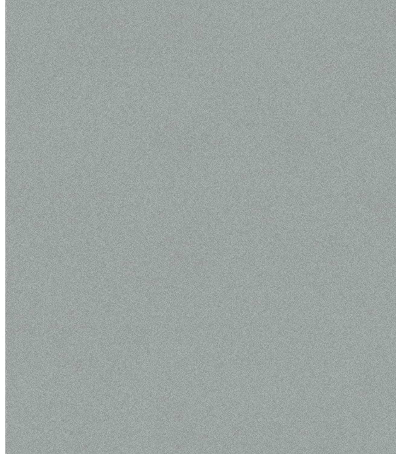 LM-1236 Cool Stone 05 8 ft x 4 ft Texture Finish Solid 1 mm Decorative Laminate