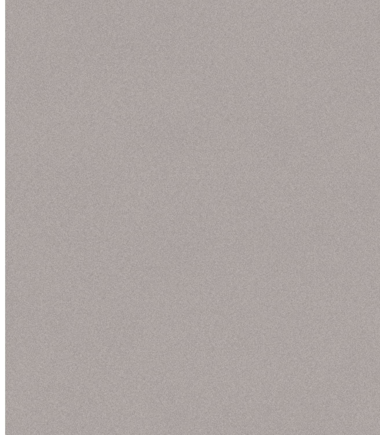 LM-1239 Cool Stone 03 8 ft x 4 ft Texture Finish Solid 1 mm Decorative Laminate