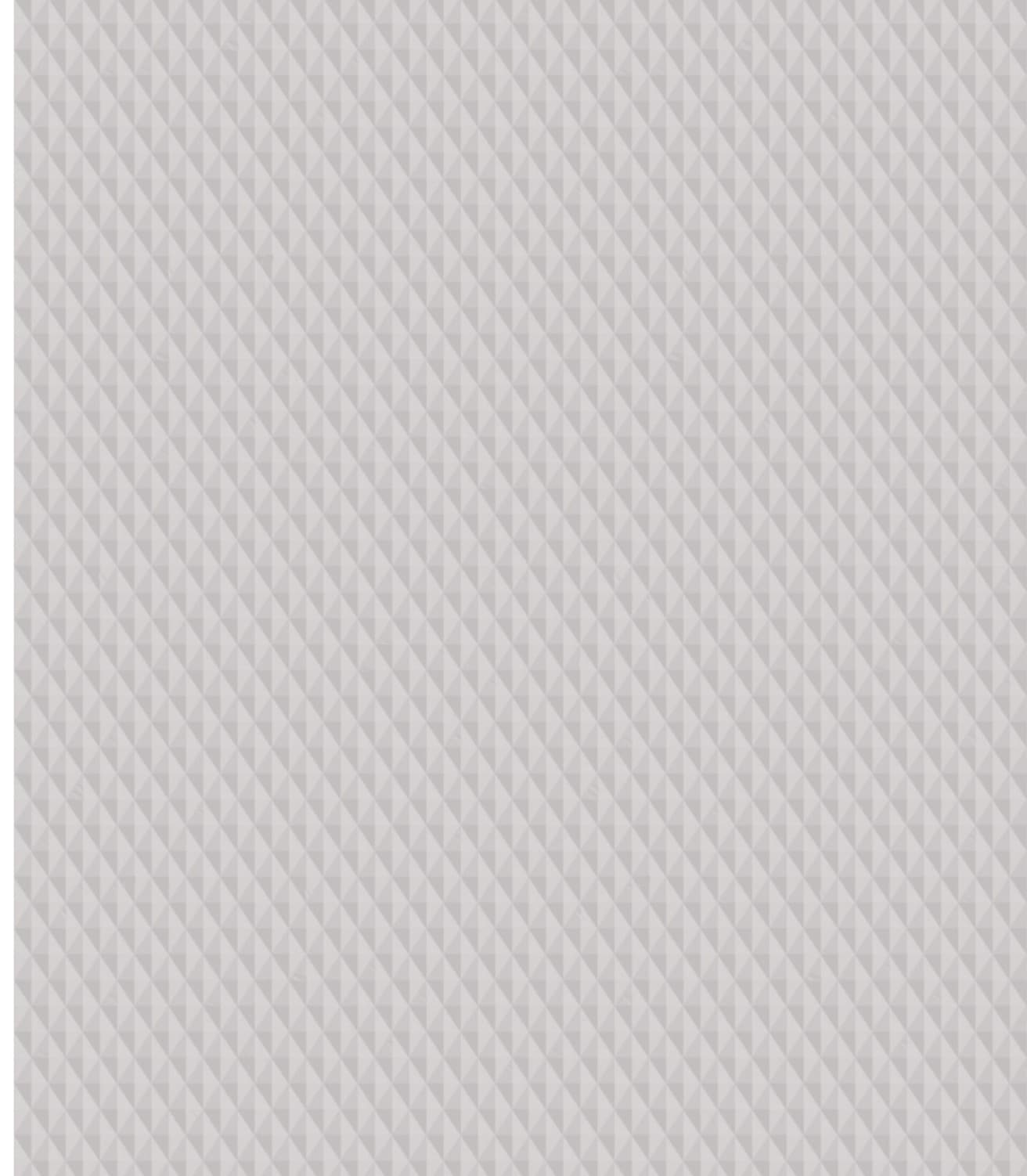 LM-1256 Light Grey 06 8 ft x 4 ft Texture Finish Solid 1 mm Decorative Laminate