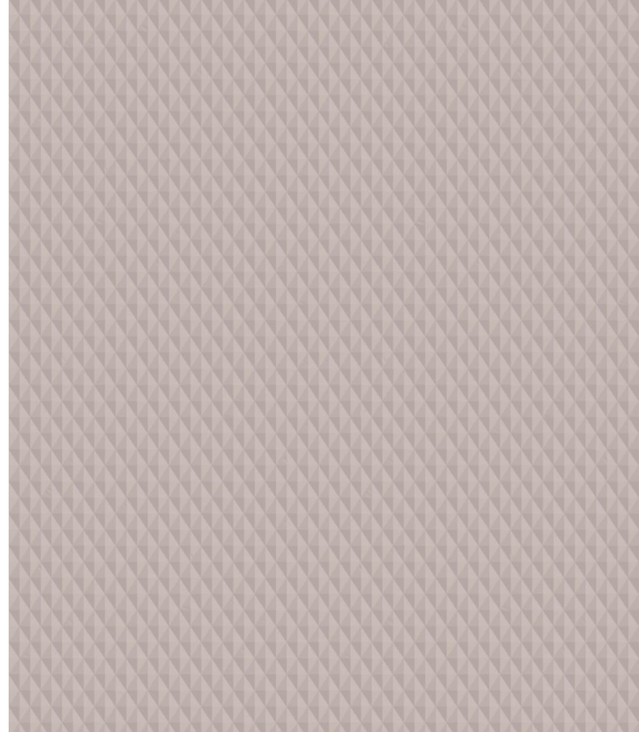 LM-1258 Cool Greige 09 8 ft x 4 ft Texture Finish Solid 1 mm Decorative Laminate