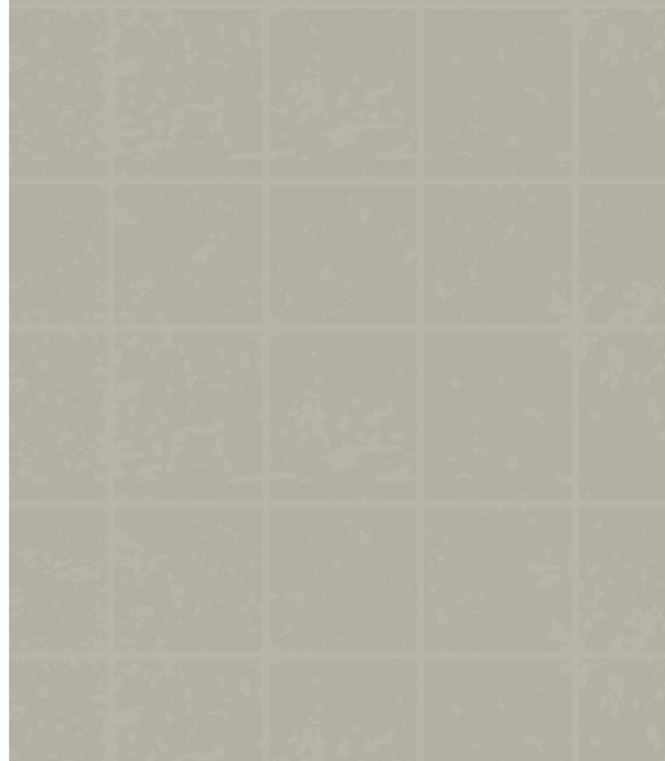 LM-1355 Warm Taupe 01 8 ft x 4 ft Texture Finish Solid 1 mm Decorative Laminate