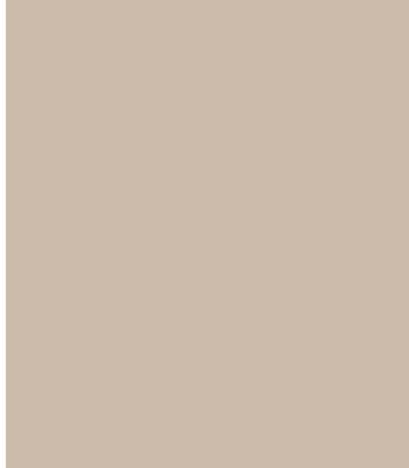 LM-1380 Warm Beige 04 8 ft x 4 ft Texture Finish Solid 1 mm Decorative Laminate