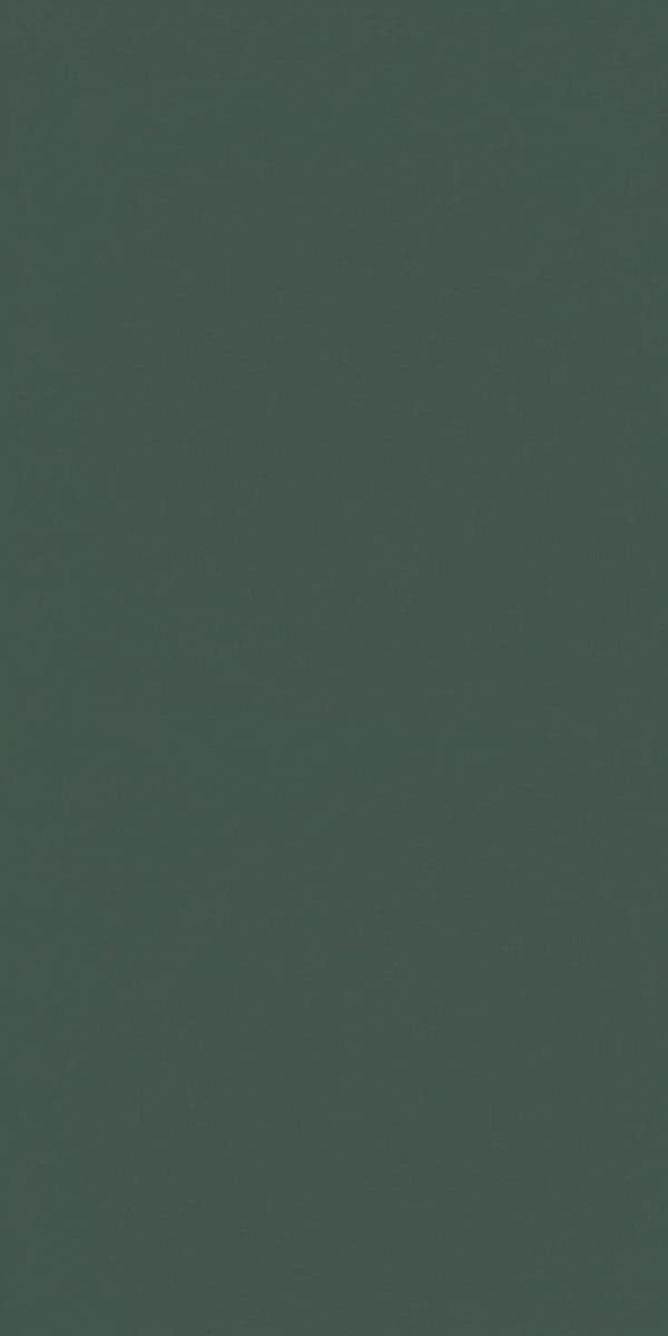21103 Jolly Green MR+ Tuff Gloss 8x4 ft 1 mm Decorative Laminate