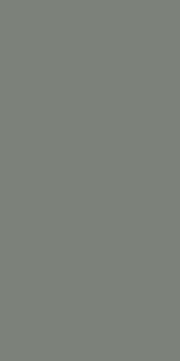 21109 Moss Grey MR+ Tuff Gloss 8x4 ft 1 mm Decorative Laminate