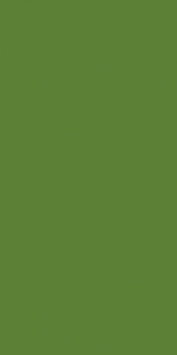 21143 Parrot Green MR+ Tuff Gloss 8x4 ft 1 mm Decorative Laminate