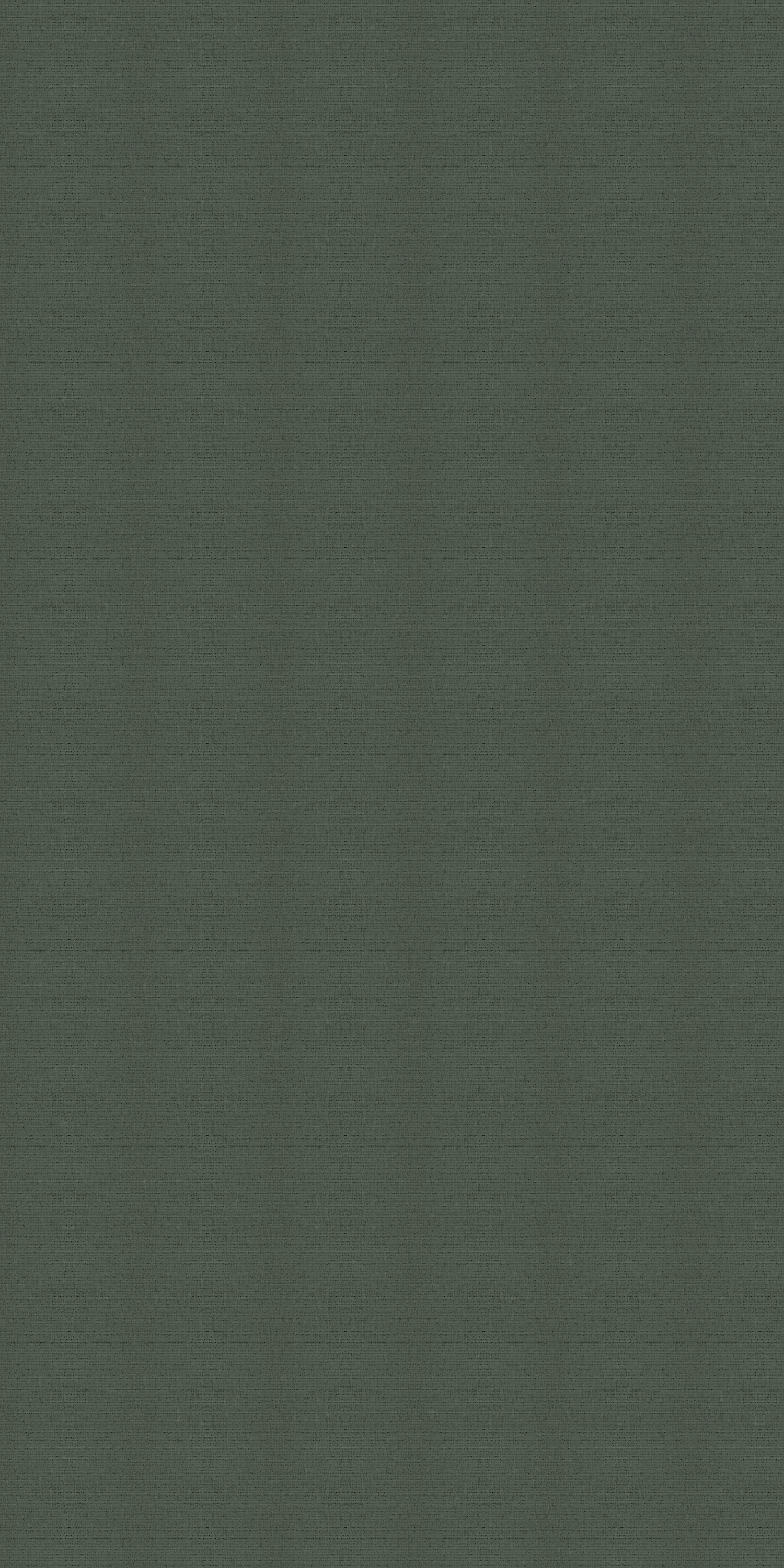 TND-120 Tropical Ferns Texture Finish 8x4 ft 1mm Decorative Laminate