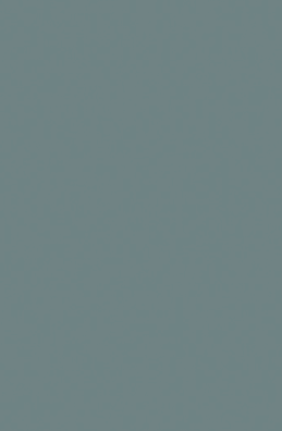 269 -SMT Dolphin Grey Matt Finish 8ftx4ft 1mm Decorative Laminate