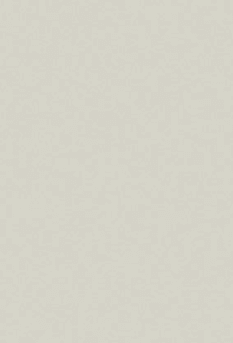 279 -SMT Cool Grey Matt Finish 8ftx4ft 1mm Decorative Laminate