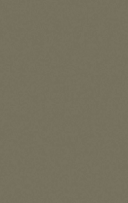 281 -26 Thunder Texture 8ftx4ft 1mm Decorative Laminate