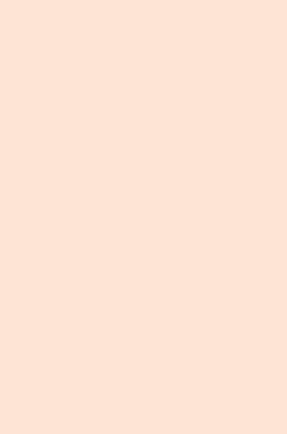 537 -SMT Porcelain Beige Matt Finish 8ftx4ft 1mm Decorative Laminate