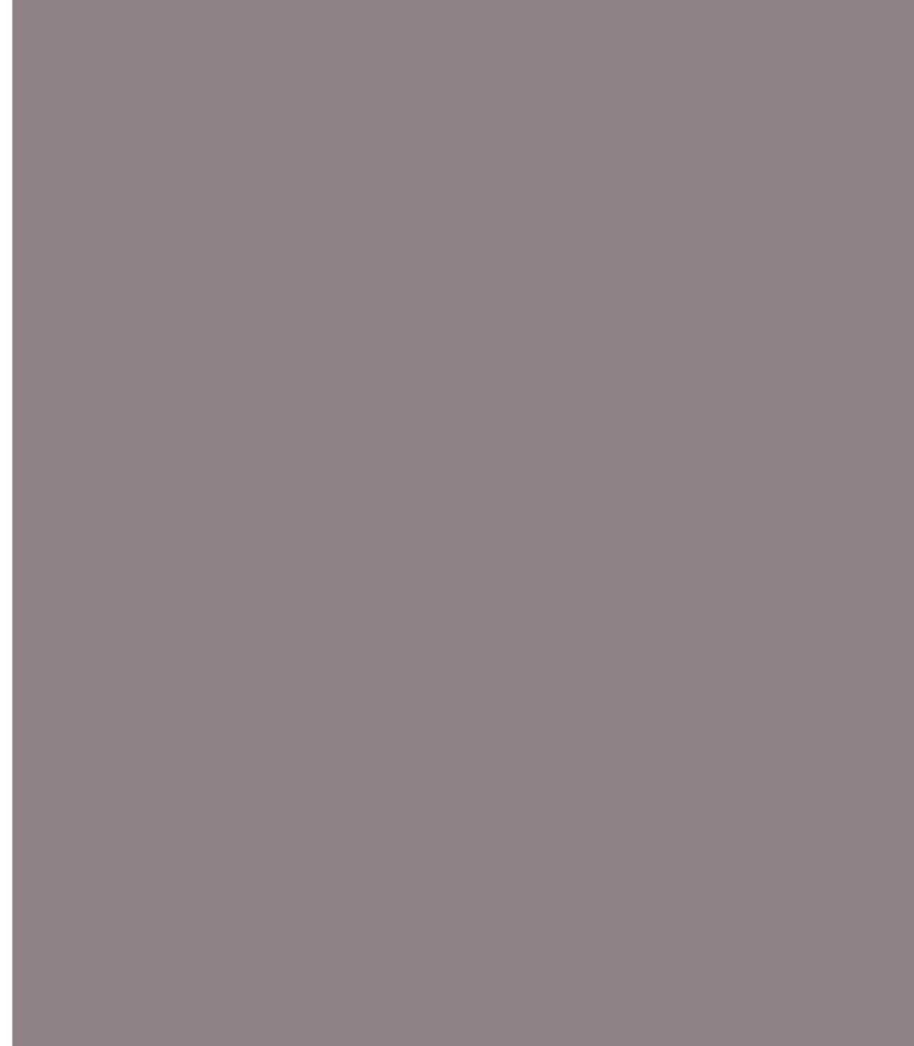 LM-1343 Warm Grey 09 8 ft x 4 ft Texture Finish Solid 1 mm Decorative Laminate