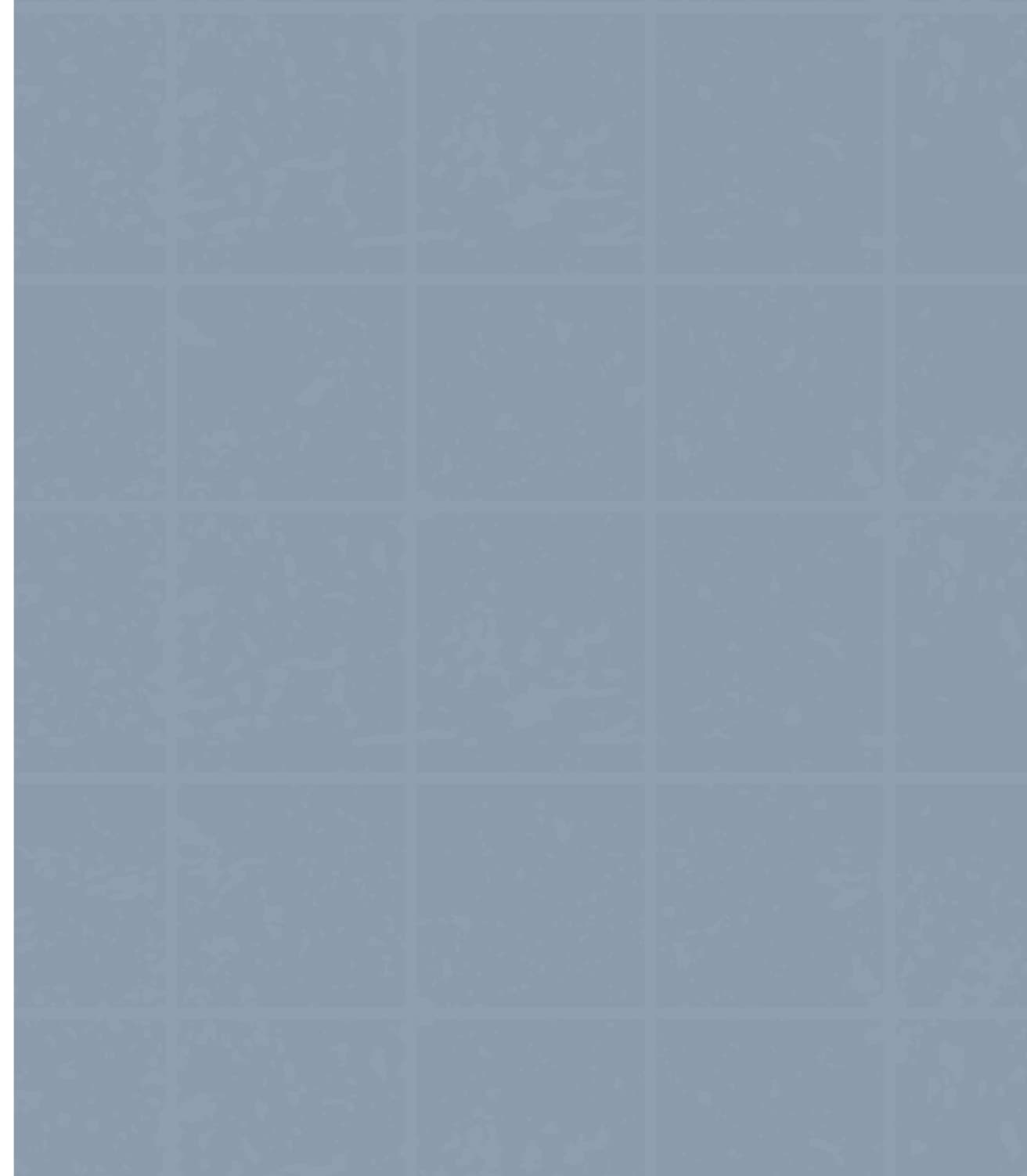 LM-1353 Ash Grey 02 8 ft x 4 ft Texture Finish Solid 1 mm Decorative Laminate
