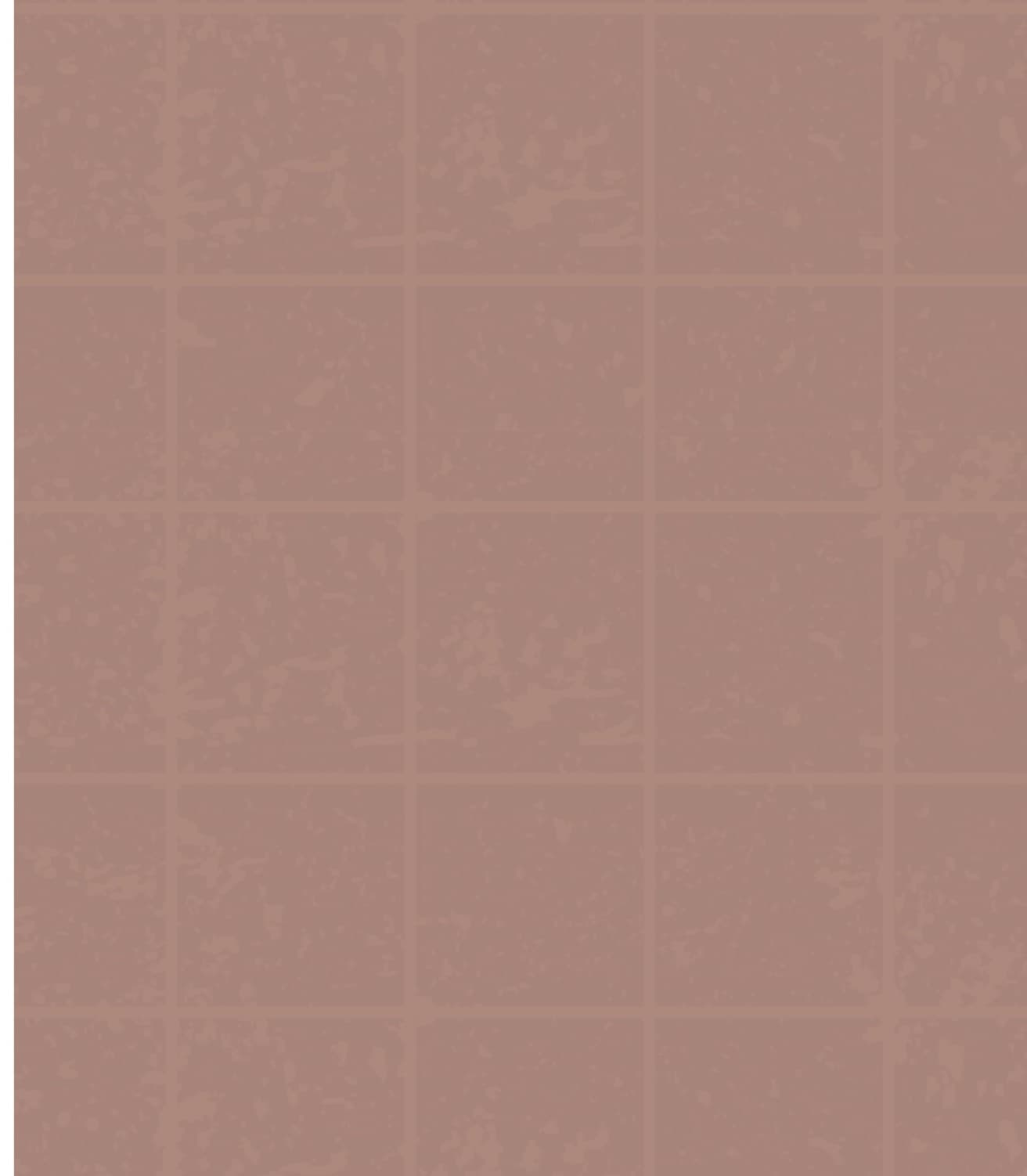 LM-1354 Rose Mauve 01 8 ft x 4 ft Texture Finish Solid 1 mm Decorative Laminate