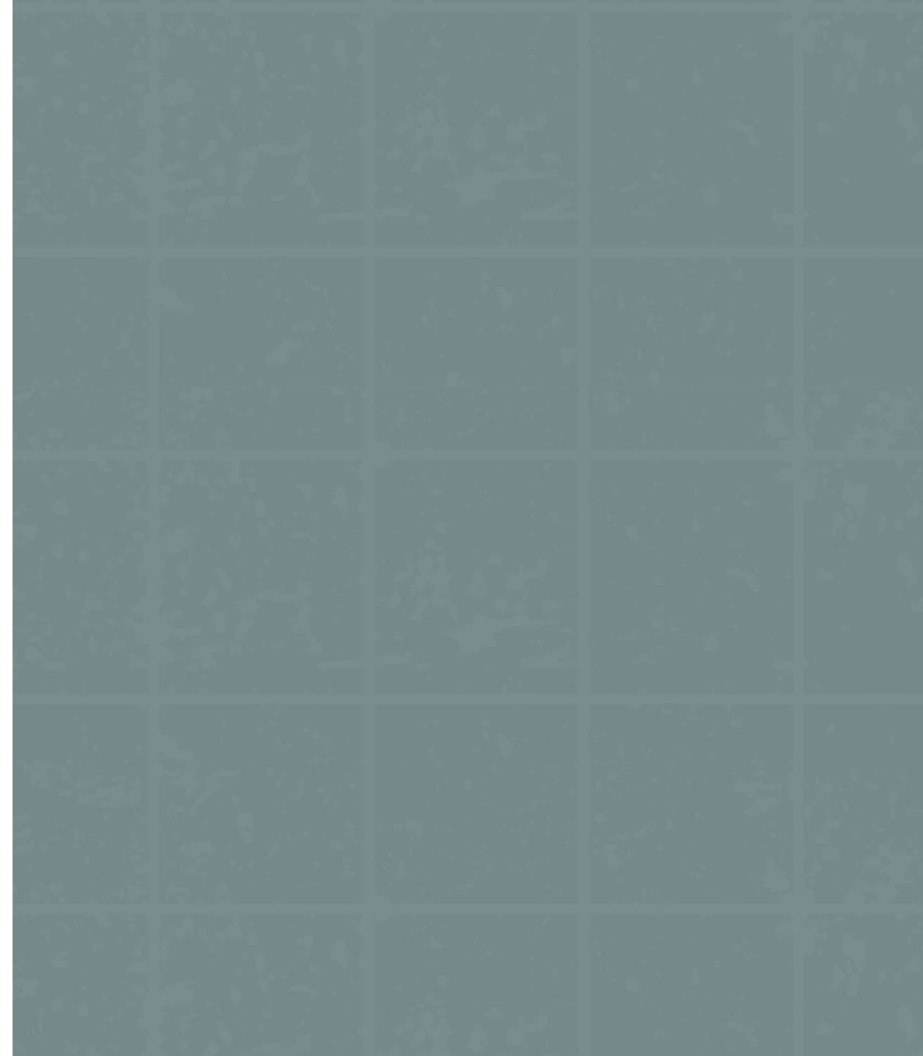 LM-1356 Blue Grey 8 ft x 4 ft Texture Finish Solid 1 mm Decorative Laminate