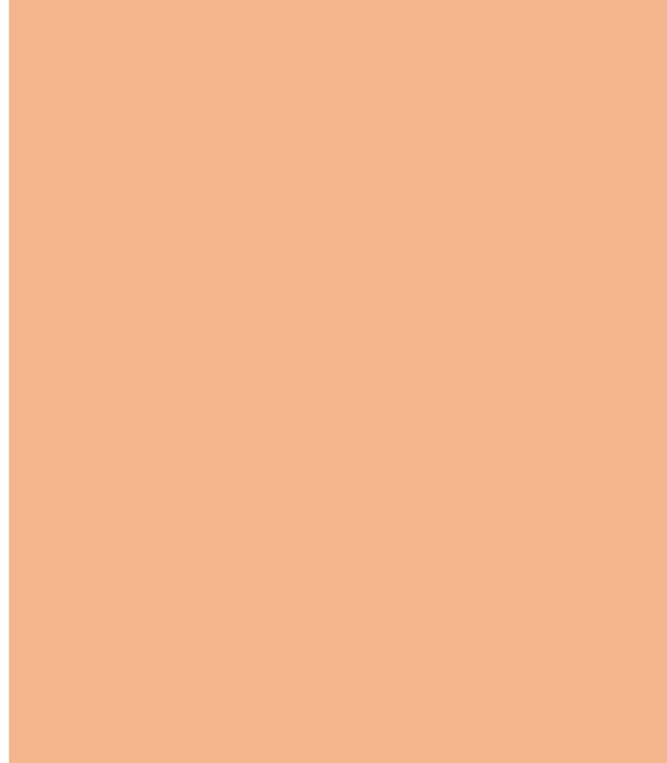 LM-1395 Salmon 8 ft x 4 ft Texture Finish Solid 1 mm Decorative Laminate