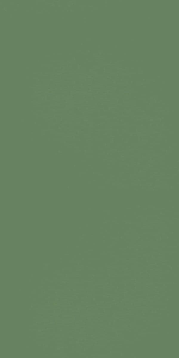 21003 Prairie Green High Gloss 8x4 ft 1 mm Decorative Laminate