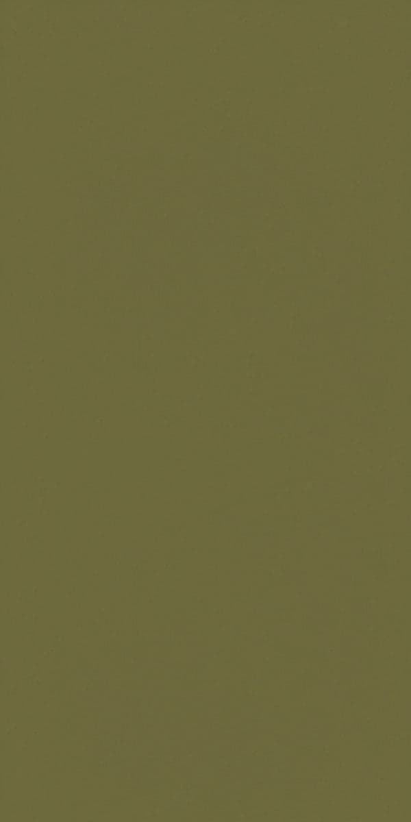 21023 Dark Citrus Feather Touch 8x4 ft 1 mm Decorative Laminate