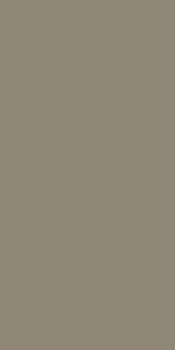 21037 Beige MR+ Tuff Gloss 8x4 ft 1 mm Decorative Laminate