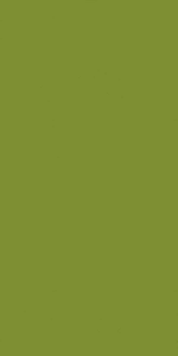 21163 Lime MR+ Tuff Gloss 8x4 ft 1 mm Decorative Laminate