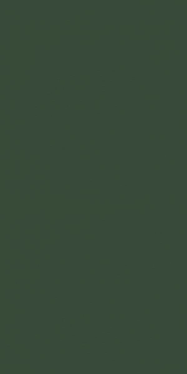 21313 Fern Green MR+ Tuff Gloss 8x4 ft 1 mm Decorative Laminate