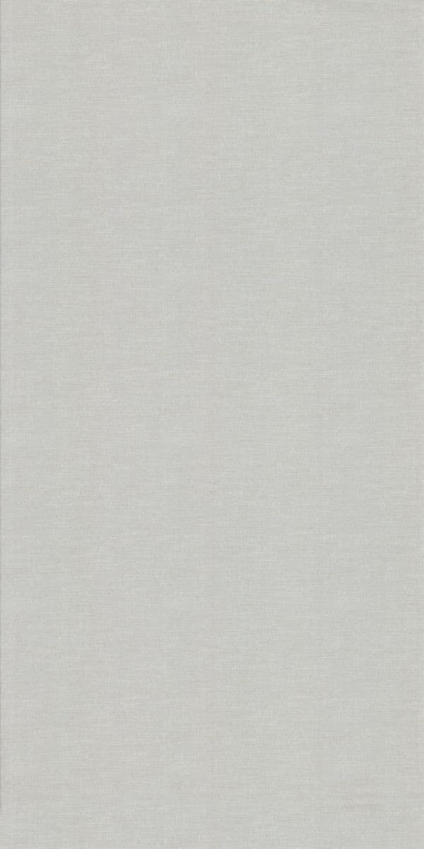 44785 Rustic Dreams Grains RH 8x4 ft 1 mm Decorative Laminate