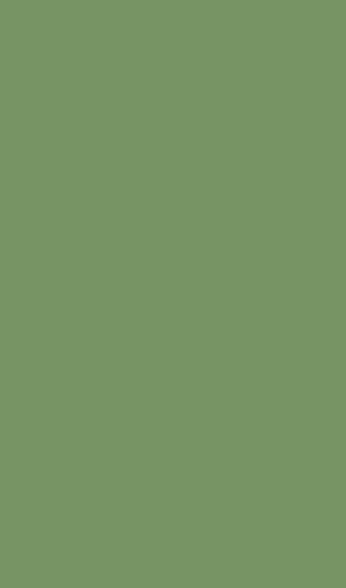 8093 Eucalyptus Green 8 ft x 4 ft Matt Finish Solid 1mm Laminate