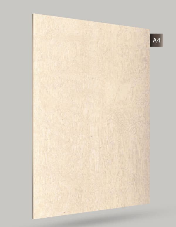 SD 631 Textured Finish 8ftx4ft 1.0MM Decorative Laminates